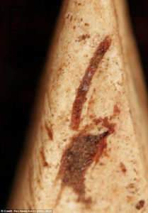 Magnified view of needle tip with marks of red ochre.